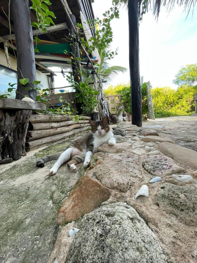 Casa Kayab Hotel Puerto Morelos Eksteriør billede